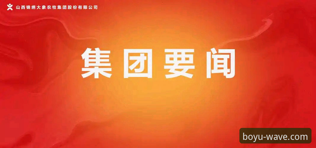 博鱼体育平台官网2026新版使用指南：从入门到精通的完整教程